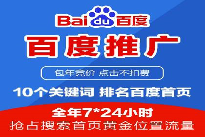 百度推广在电商领域的应用：成功提升销售额的秘诀